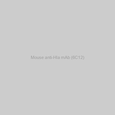 Mouse anti-Hla mAb (6C12)